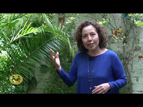 Testimonio Beneficiario de Fundación Cardenal Garibi Rivera